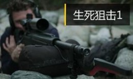 生死狙击美剧在线观看,美剧版在线观看，紧张刺激的枪战对决即将开启！