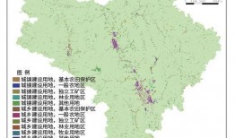 留坝县导游爆料案例最新,一场惊心动魄的旅游安全危机